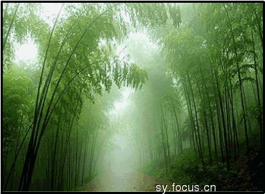 图片: 赏名山.看秀水.中华大地风光美!