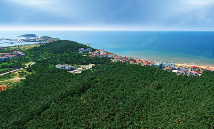 驰骋天地 心泊此湾—海信海景壹号威海kac俱乐部夜宴活动开启