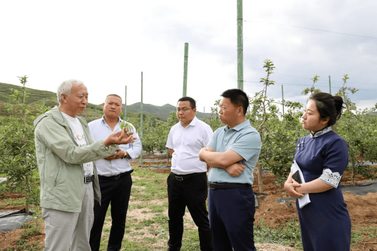 苹果教授孙建设回家指导华中小镇农业建设