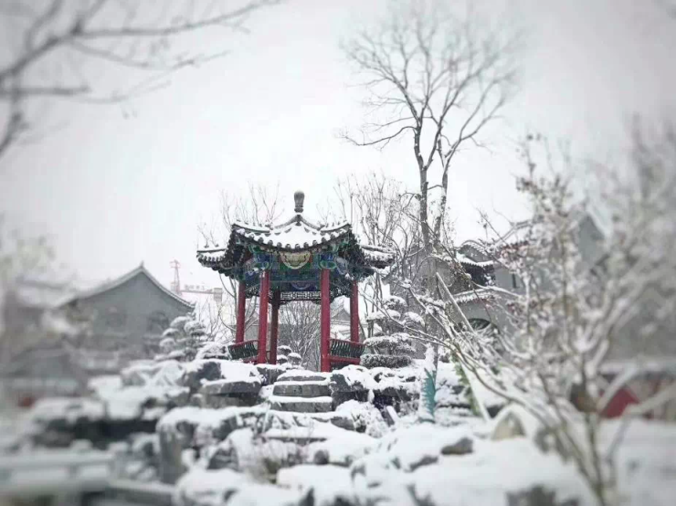 雪景|国风合院正热,河洛古城当红-洛阳搜狐焦点