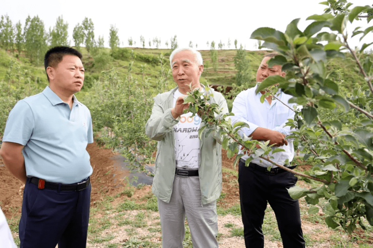 孙建设是河北农业大学教授,博士生导师,国家现代苹果产业技术体系专家