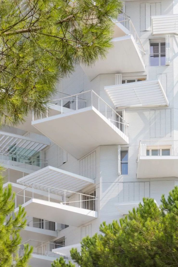 藤本壮介的白树公寓楼建成了每户都有空中花园