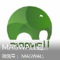 magwall