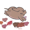 谁是猪仔？