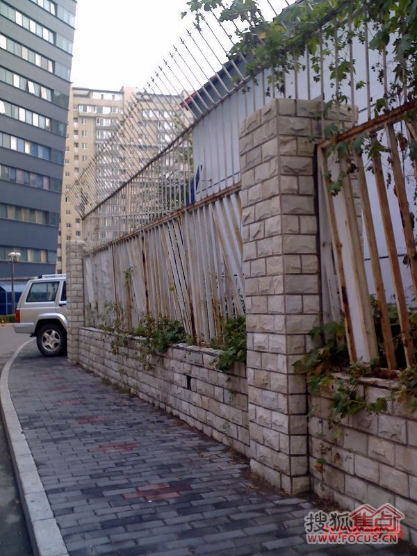 图:盗贼猖狂,当务之急如何采取措施?