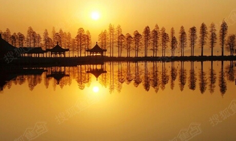 震惊:鄱阳湖湖底景观重见天日,社会呼吁关注湖泊生态