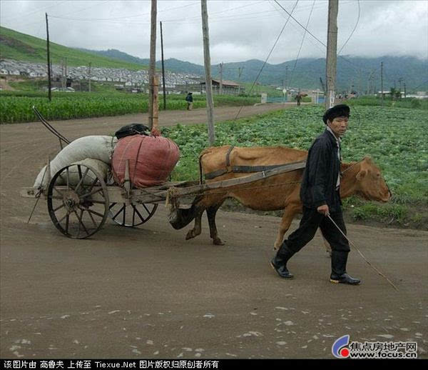 图:专门给外国人看的朝鲜百姓生活,北朝鲜罗均