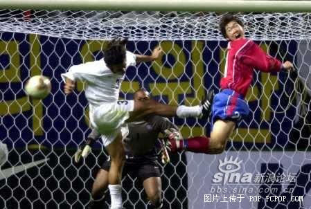 运动员的精彩瞬间图片图文 7e9bf3f6f2fbc6b158a12365c7752a6b.jpg