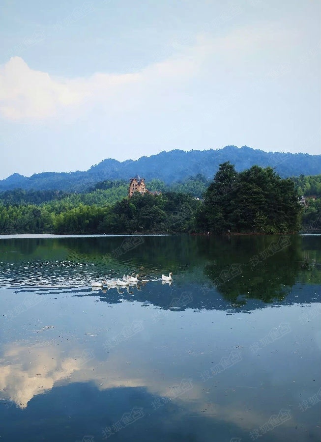 【天岛湖】是您养生避暑的首选项目,【实图赏鉴】-重庆搜狐焦点