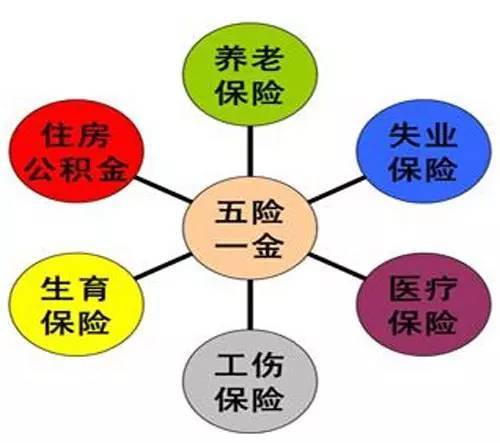 8e039d5cdba239dc56dd43d1d2047e59.jpg
