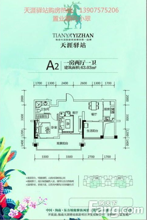 每年去海南的外来人口_海南人口分布图(2)