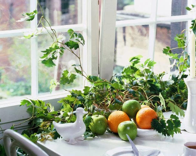 97e4d092c51de79673eac7713ebde3f8.jpg