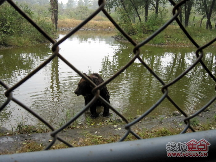 多圖我的十一北京八達嶺野生動物園