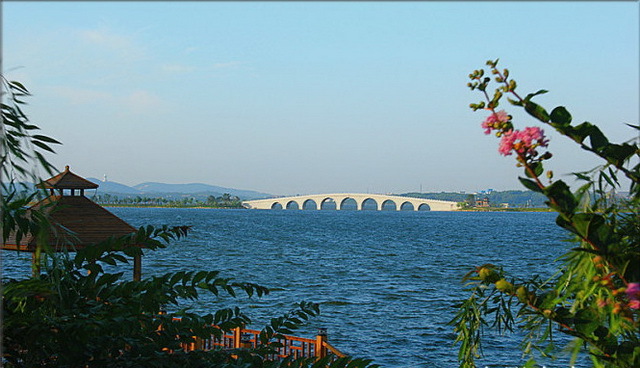 岳阳千亩湖湿地公园图片