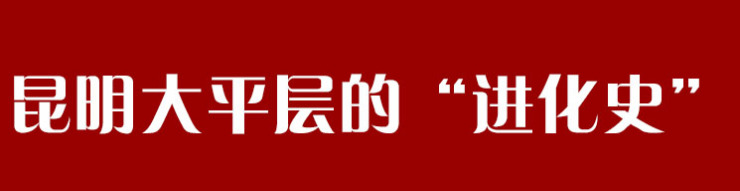 从无人问津到人人追捧大平层真的好卖吗?