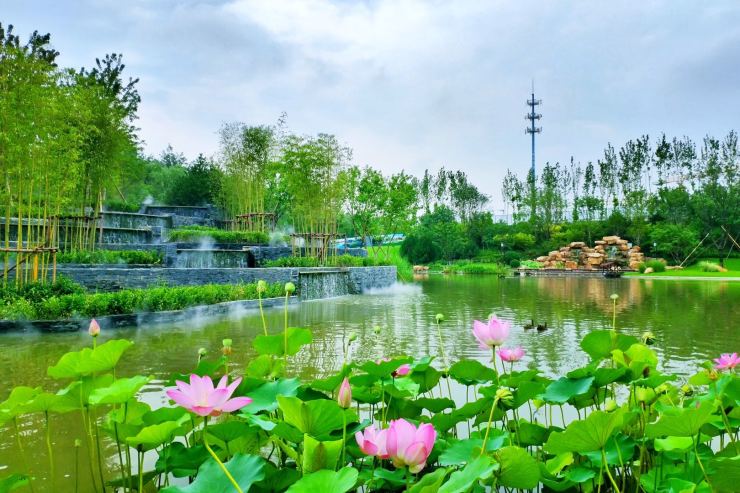 2020热点新闻首页:吴江佳兆业湖心溪岸售楼处电话—图文解析
