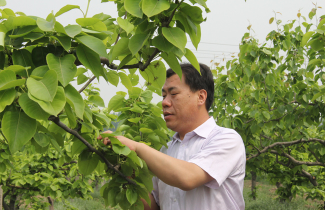 走出一条具有首都特点的乡村振兴之路-窦店村在行动