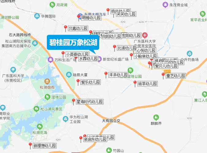 东莞大朗各村分布图图片