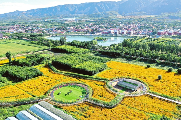 呼延村千亩花海生态观光基地四季皆可观赏