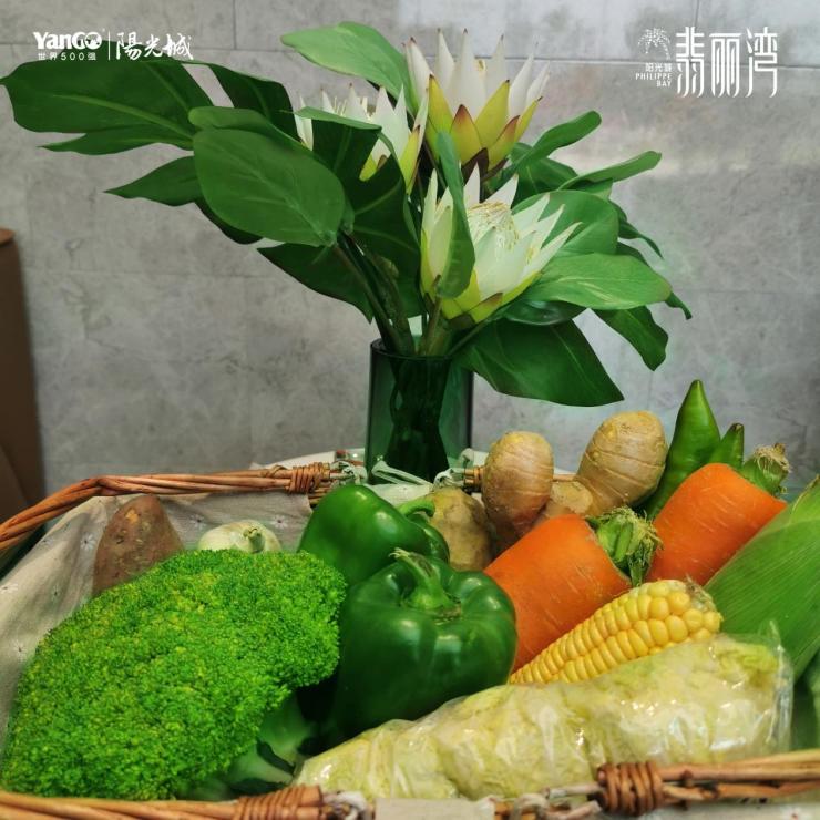 点击查看大图