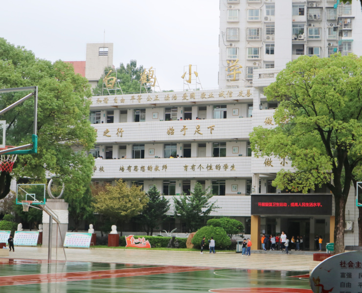 白鹤小学实景图