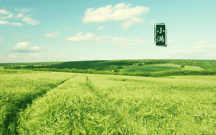 67小满时节与华府享诗意慢生活