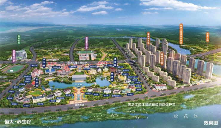 综合体项目,龙江恒大文化旅游康养城选址哈尔滨新区西板块核心位置