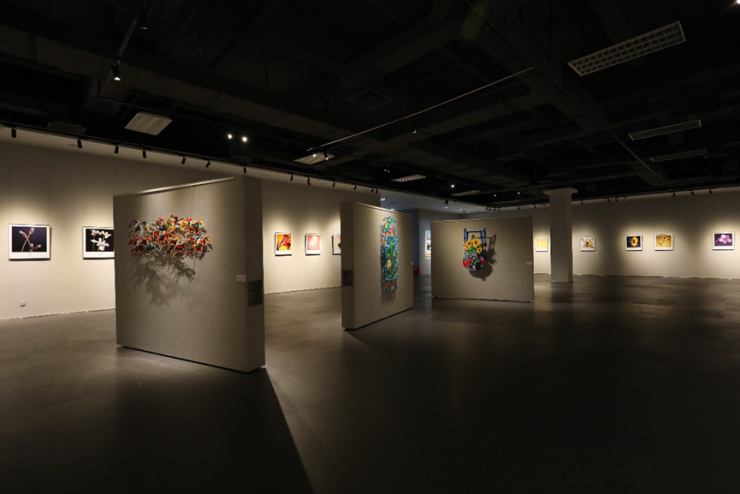 本次花卉艺术展向东莞市民展示以色列艺术家优秀的墙雕塑和摄影作品