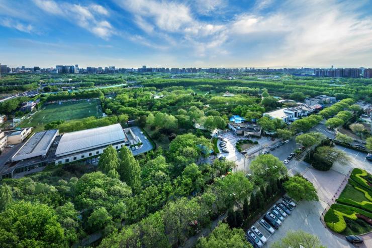 北京的中央公园生活少数人的臻稀家藏