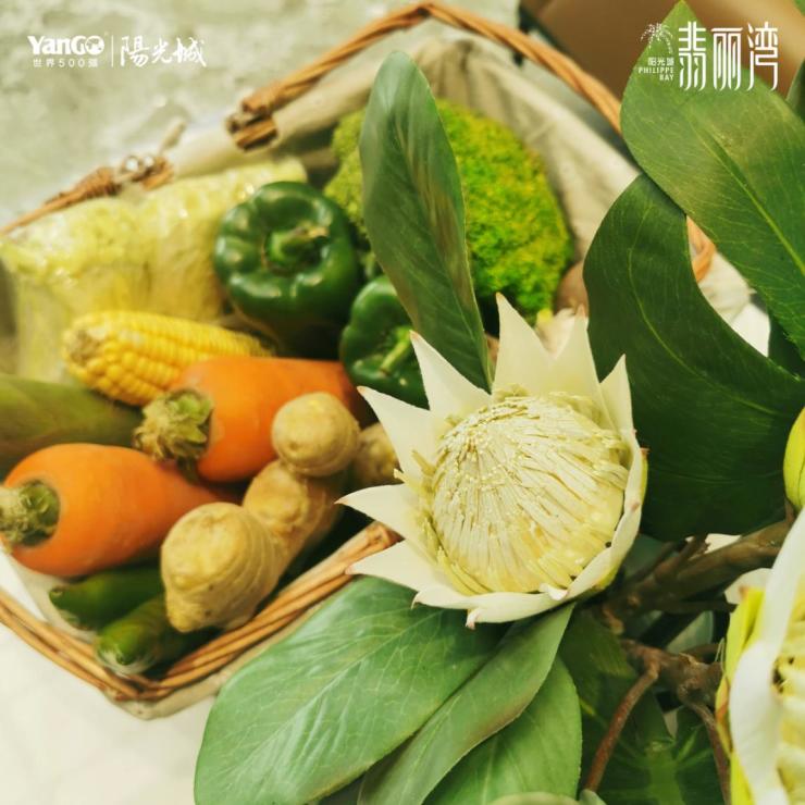 点击查看大图
