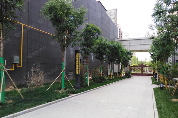 运动健身了解一下 京基一品咸阳年轻人健康的首选!