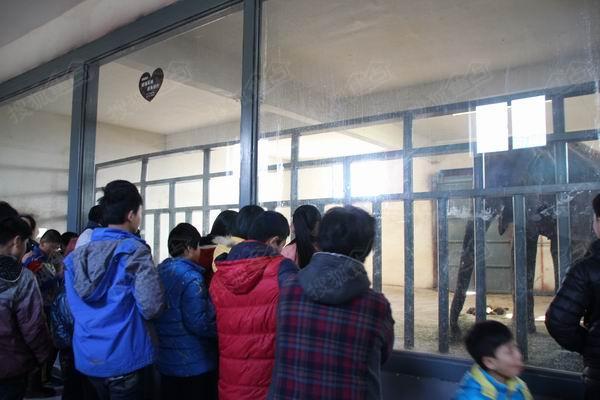 弘扬雷锋精神-德州公交公司联合搜狐焦点在行