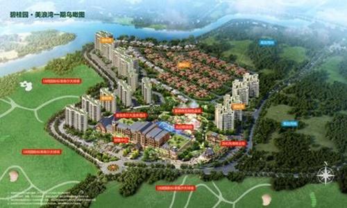 碧桂园·美浪湾塑专业团队 打造高端案场服务