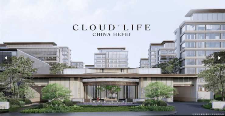 合肥庐月汀雲售楼处电话_价格详情_户型设计亮点_区域配套概况_楼盘基础信息(图6)