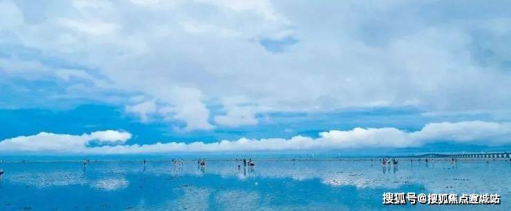 上实听海(售楼处)首页网站-2025上实听海城销售中心(营销中心)楼盘欢迎您-小区环境-户型-价格-地址-楼盘详情-周边配套(图13)
