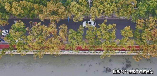 2024新黄浦江南里售楼处首页网站新黄浦江南里最新价格楼盘测评最新资讯(图10)