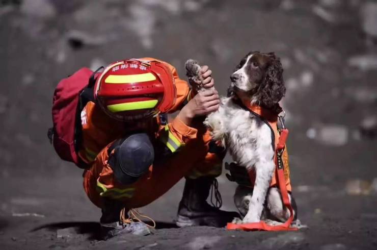 四川茂县山体垮塌! 搜救犬小虎累瘫,救援现场不能忘记的瞬间!