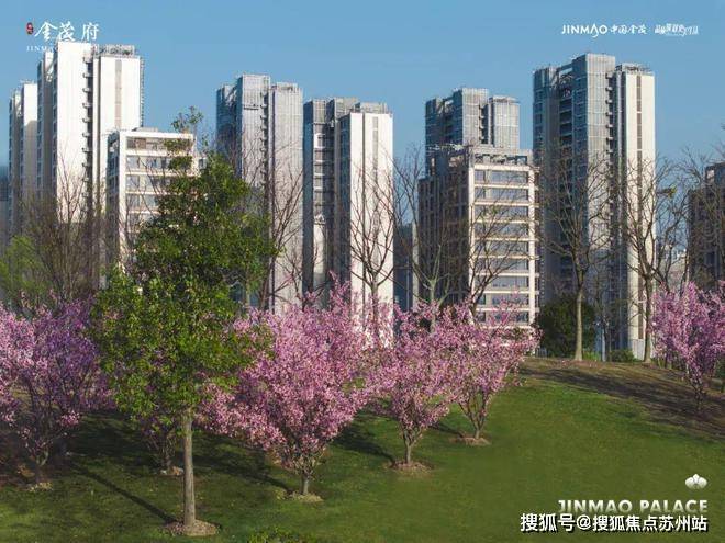 普陀金茂府(售楼处)首页网站-2024楼盘评测_售楼处最新价格配套户型(图13)