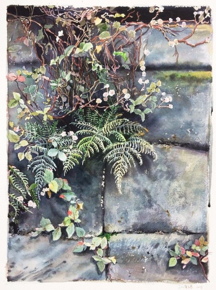 老楼旧物苔藓能把生活细微之美画出来的是个90后姑娘