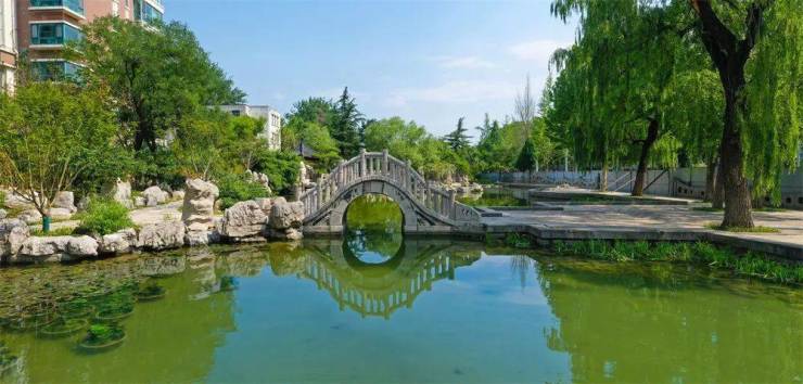 全省样板!市住房城乡建设局十个一工作开云体育 开云平台法打造西五路绿化提升工程获好评(图8)