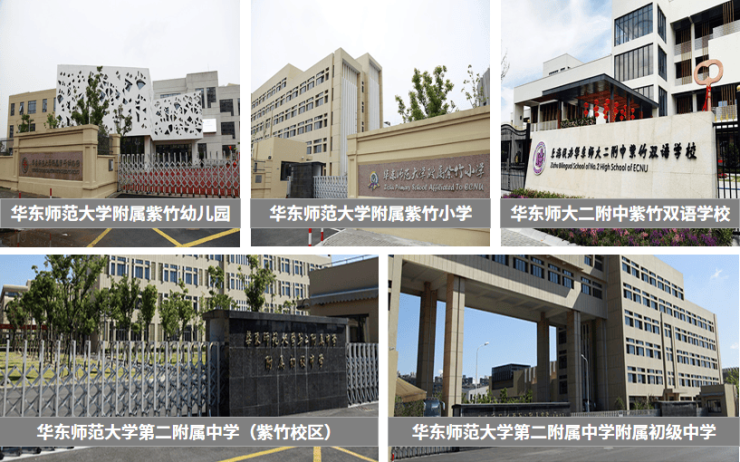 华东师范大学附属紫竹幼儿园,华东师范大学附属紫竹小学,华东师范大学