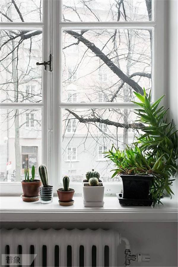 看看别人家窗台上都摆些什么!