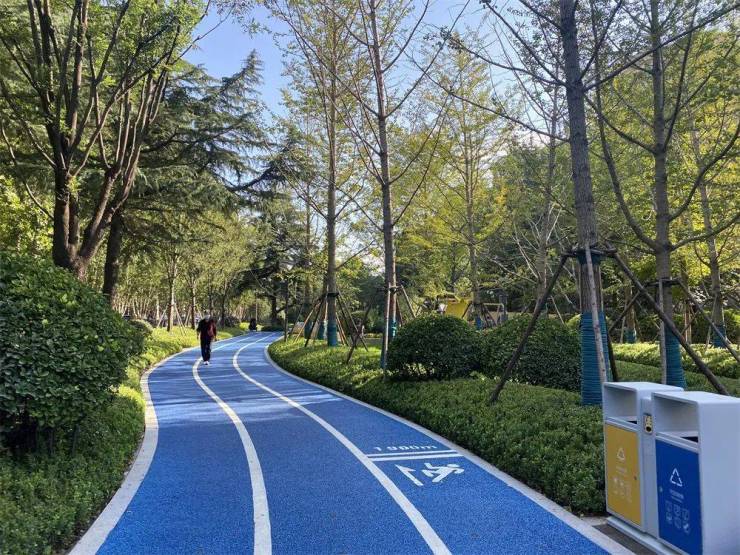 全省样板!市住房城乡建设局十个一工作开云体育 开云平台法打造西五路绿化提升工程获好评(图9)