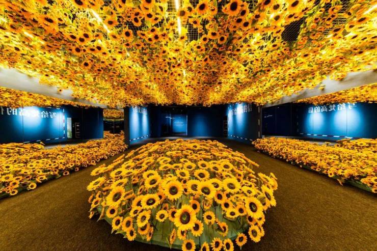 笠泽之星业主您有一份梵高艺术展门票待领取