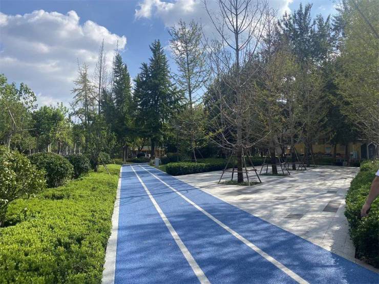 全省样板!市住房城乡建设局十个一工作开云体育 开云平台法打造西五路绿化提升工程获好评(图12)