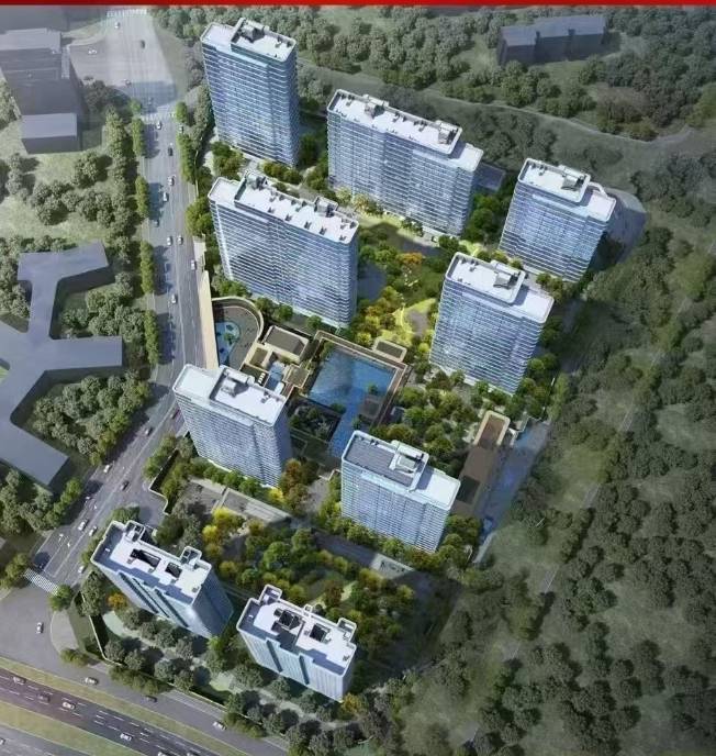 伟星T10项目户型图-价格(图3)