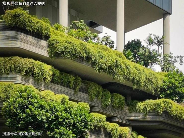 兴耀沐芳洲楼盘详情-杭州兴耀·沐芳洲(2025钱塘下沙精装住宅兴耀沐芳洲最新房价+户型)兴耀沐芳洲官芳首页推荐-六安搜狐焦点