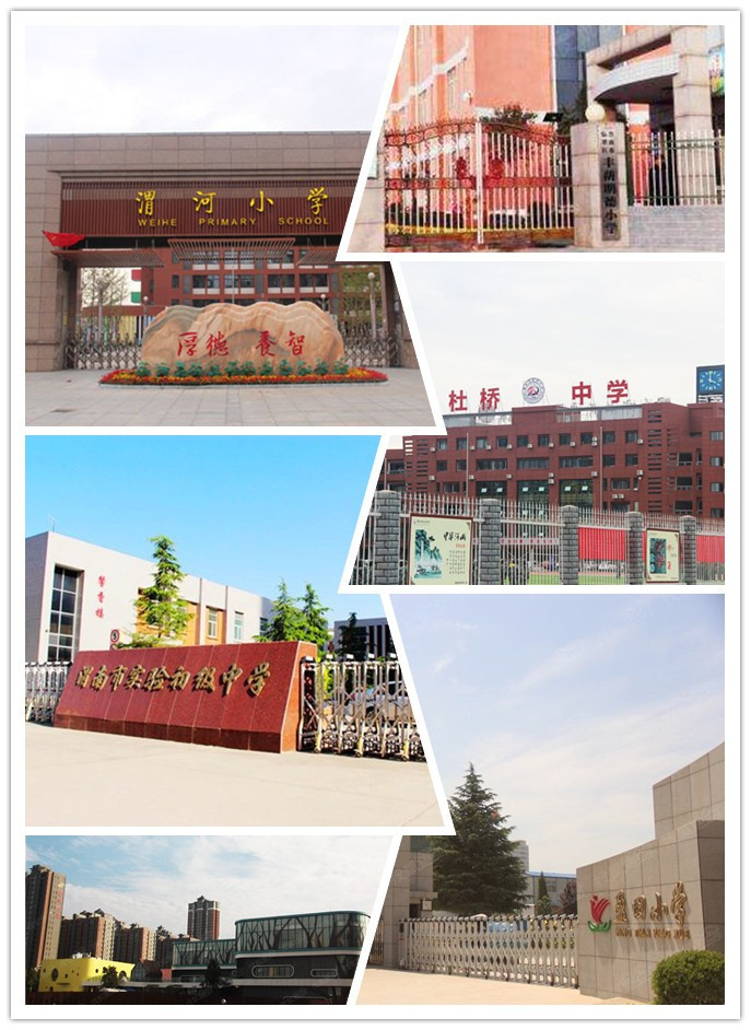 市政府幼兒園,蘇園豐景公辦幼兒園,臨渭區豐蔭幼兒園,實驗小學,渭河