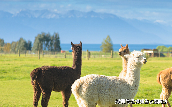 惠州星河山海半島歡迎您星河山海半島首頁網站樓盤價格配套學區戶型