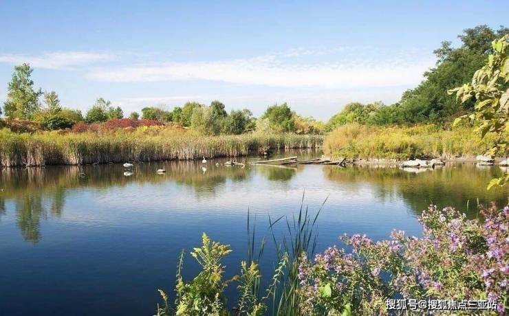 三亚凤凰水城海外滩:品质住宅新典范,海滨生活的尊贵领地